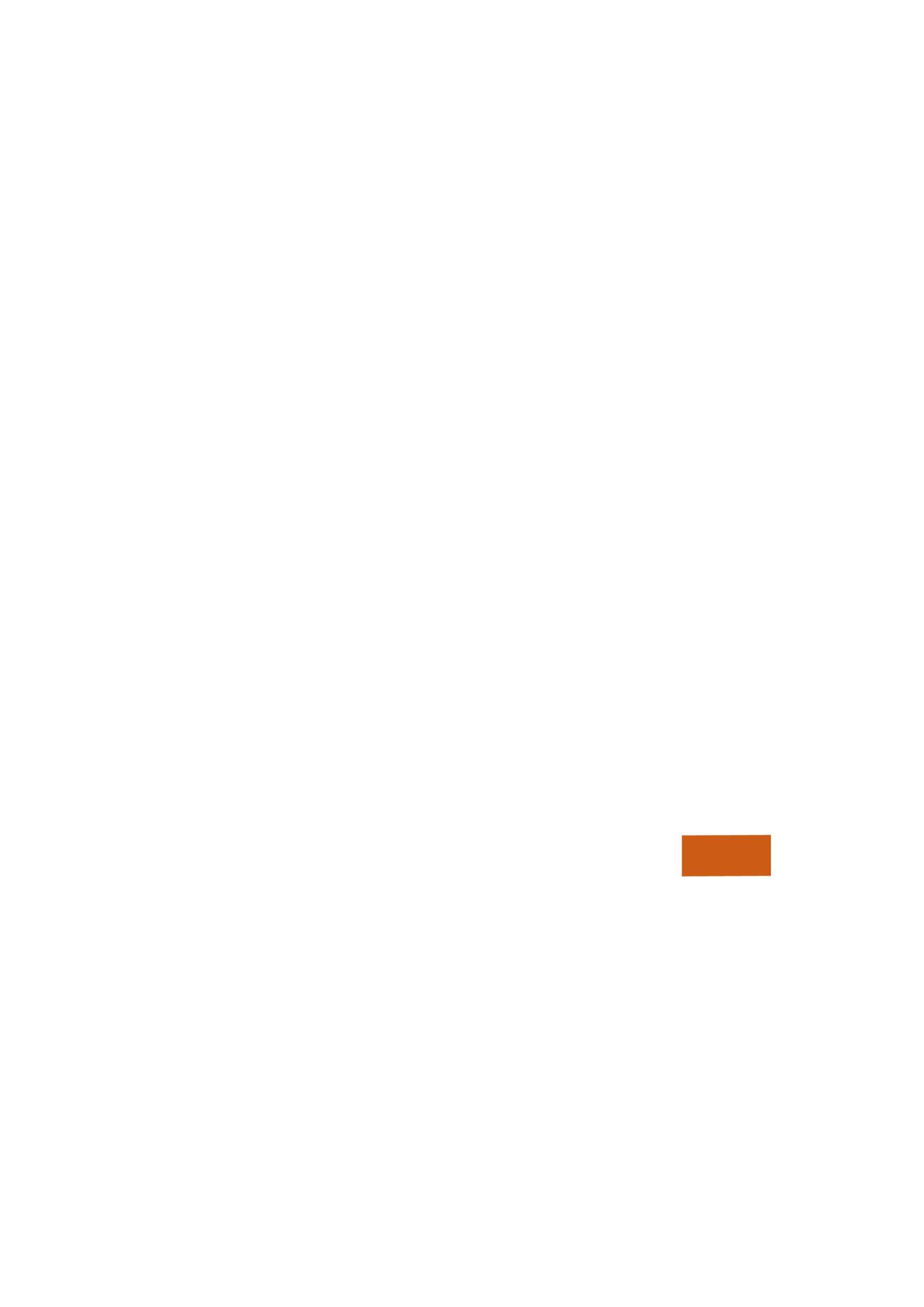 COSTRUMAX